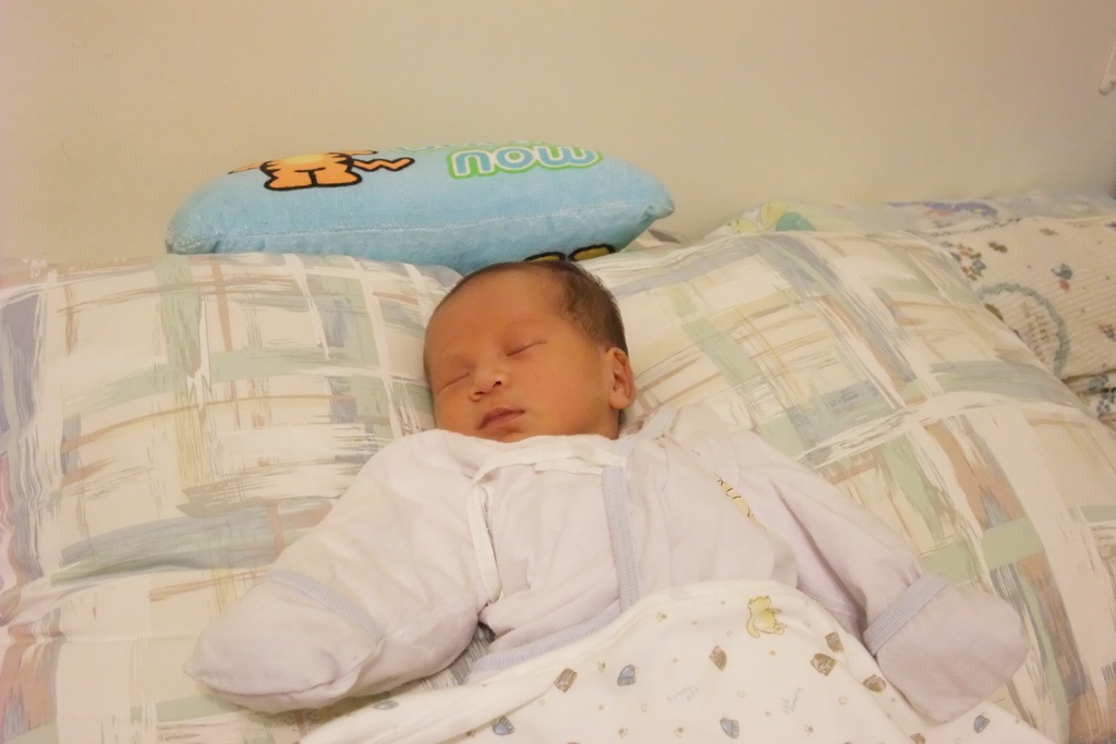 0040_DSCF1433e.JPG[�����B�i���ܤU�@��]