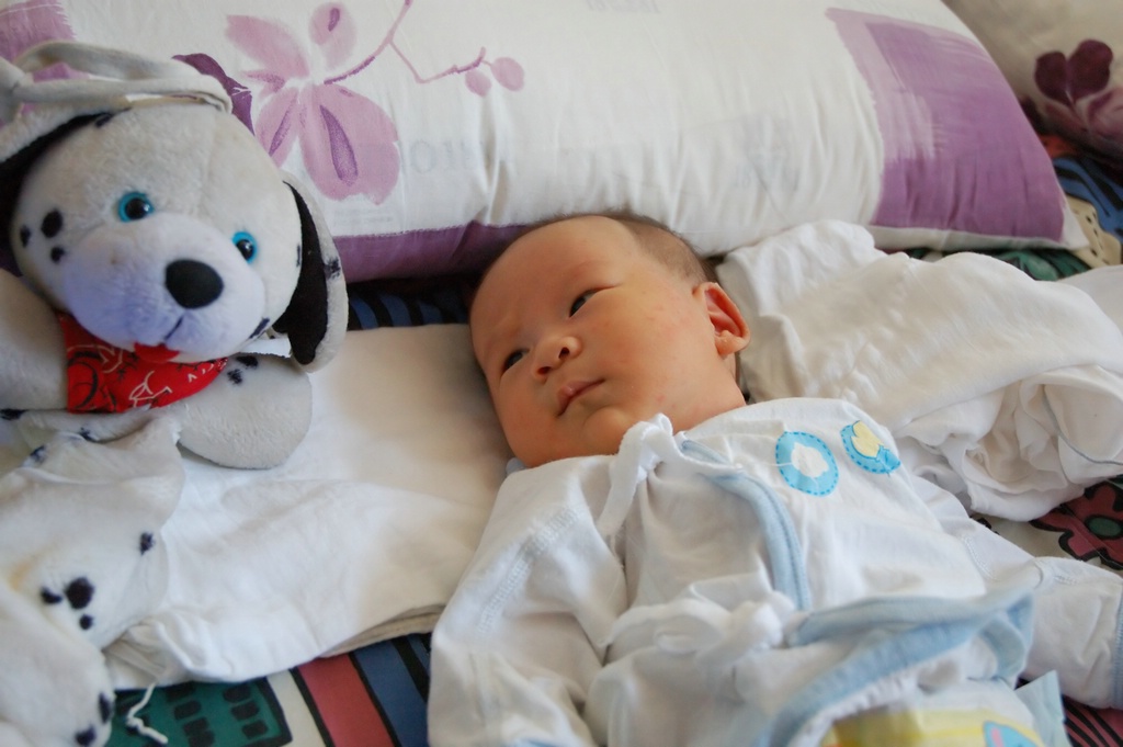 DSC_7885ef.jpg[�����B�i���ܤU�@��]