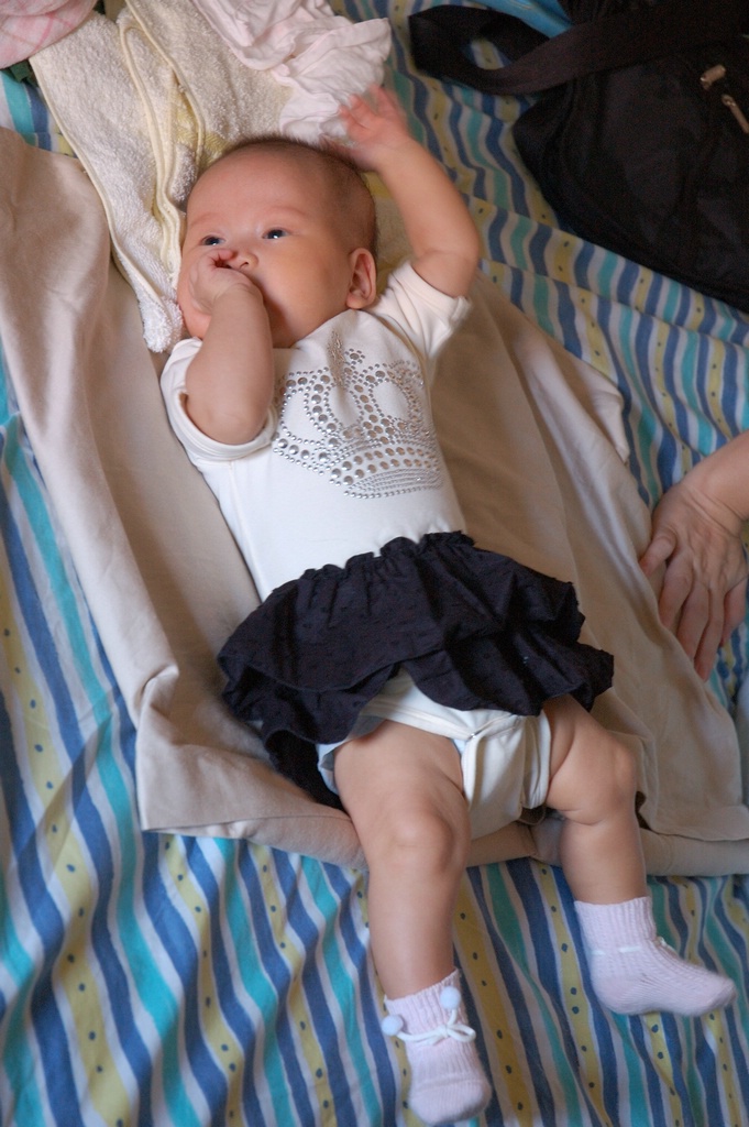 DSC_8179e.jpg[�����B�i���ܤU�@��]