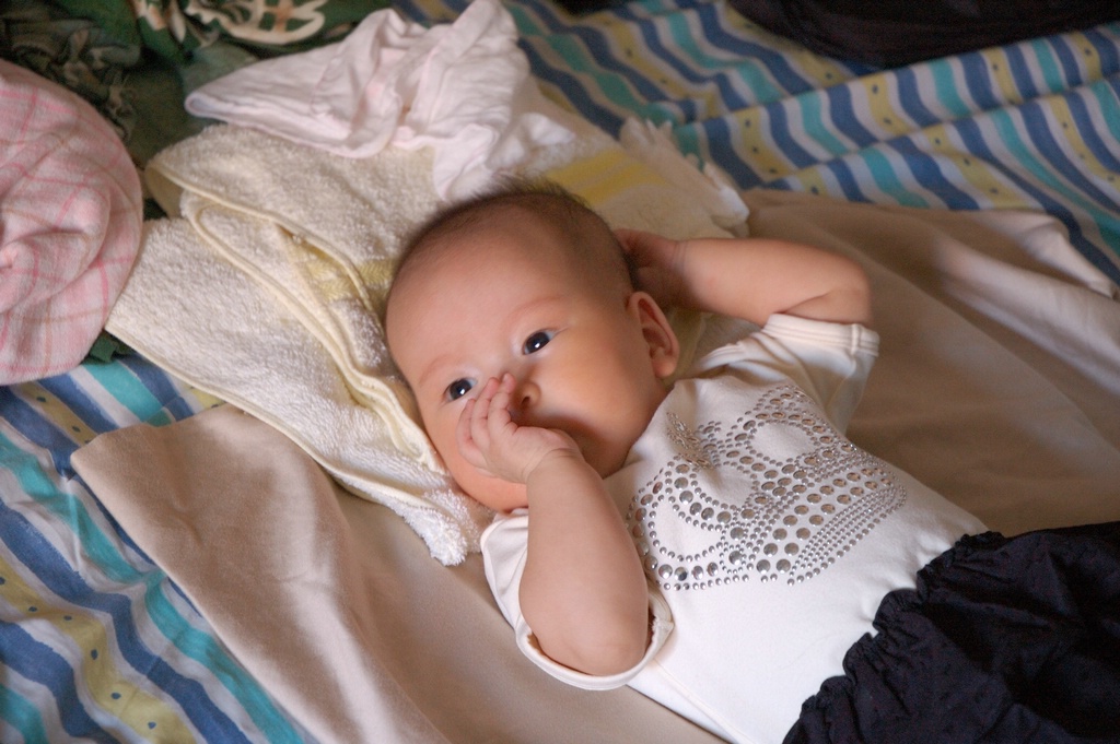 DSC_8180e.jpg[�����B�i���ܤU�@��]
