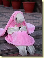 DSCN5940.JPG