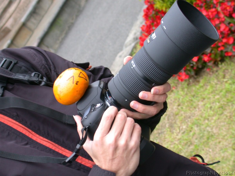 DSCN7445.JPG
