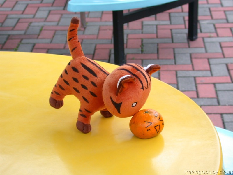 DSCN7533.JPG
