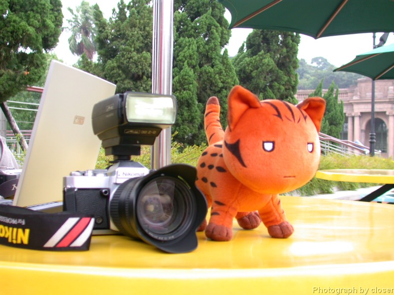 DSCN7547.JPG