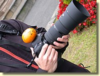 DSCN7445.JPG