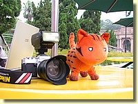 DSCN7547.JPG