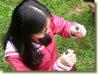 DSCN8247.JPG