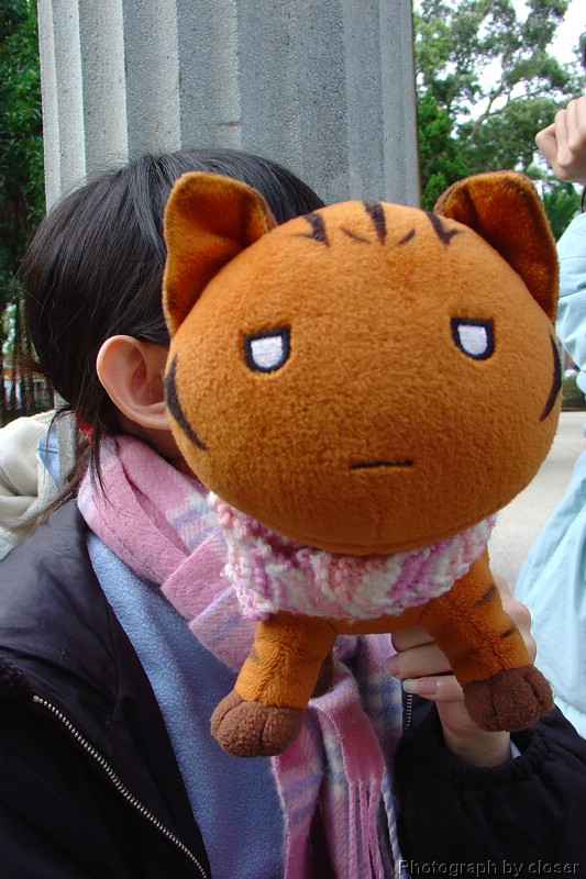 misc_DSC01733.JPG