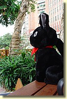 04_DSC01754.JPG