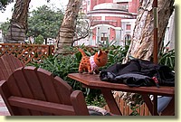 misc_DSCN1553.JPG