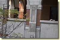 misc_DSCN1585.JPG