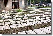 DSCN2248.JPG