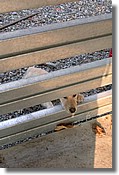 DSCN2279.JPG