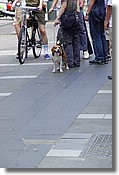 DSC04045.JPG