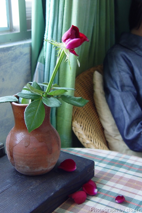 DSC04984.JPG[BiܤU@]