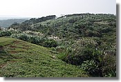 DSC04812.JPG
