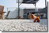 DSC04896.JPG