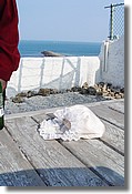 DSC04914e.JPG
