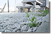 DSC04919e.JPG