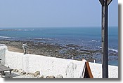 DSC04921.JPG