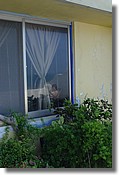 DSC04933.JPG