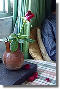 DSC04984.JPG