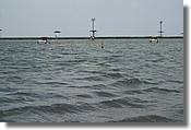 DSCN0387.JPG