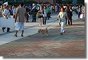DSC_0127.JPG