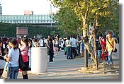 DSC_0138.JPG