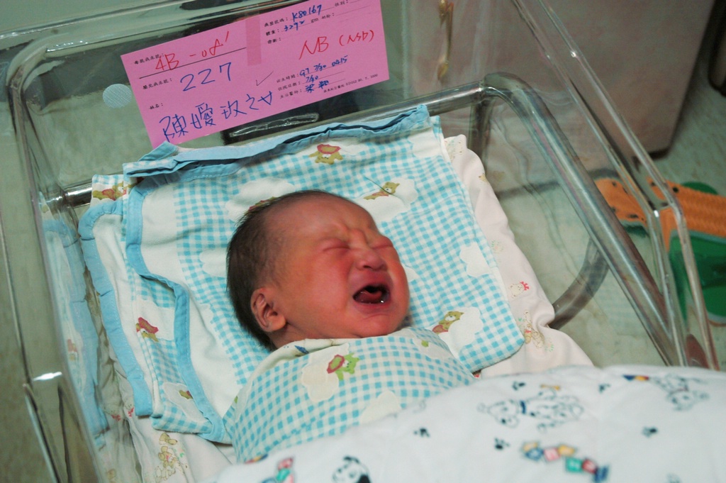 0003_DSC_7482e.JPG[BiܤU@]