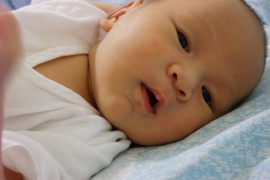 0120_DSCF1625.JPG[BiܤU@]