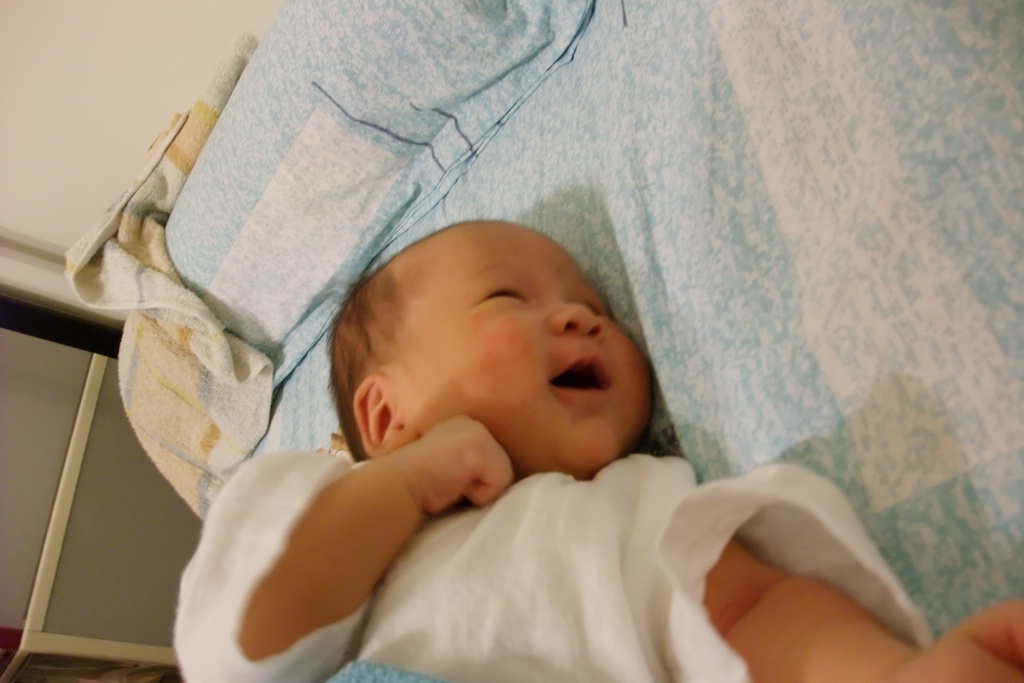 0129_DSCF3012.JPG[BiܤU@]
