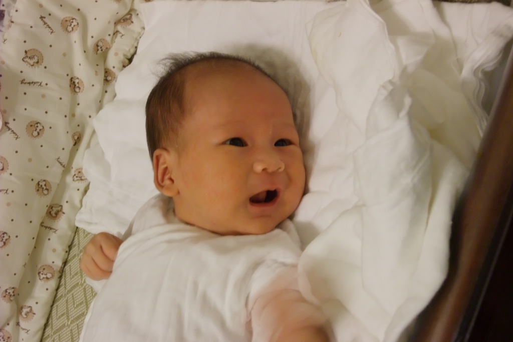 0139_DSCF3039.JPG[BiܤU@]