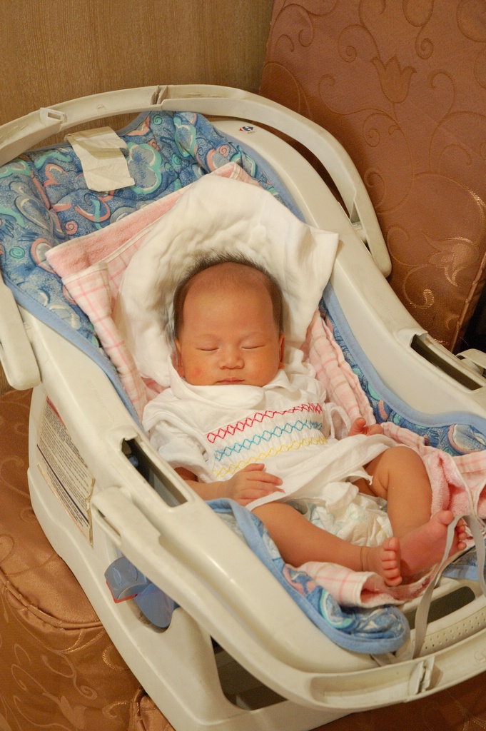 DSC_7668e.jpg[BiܤU@]