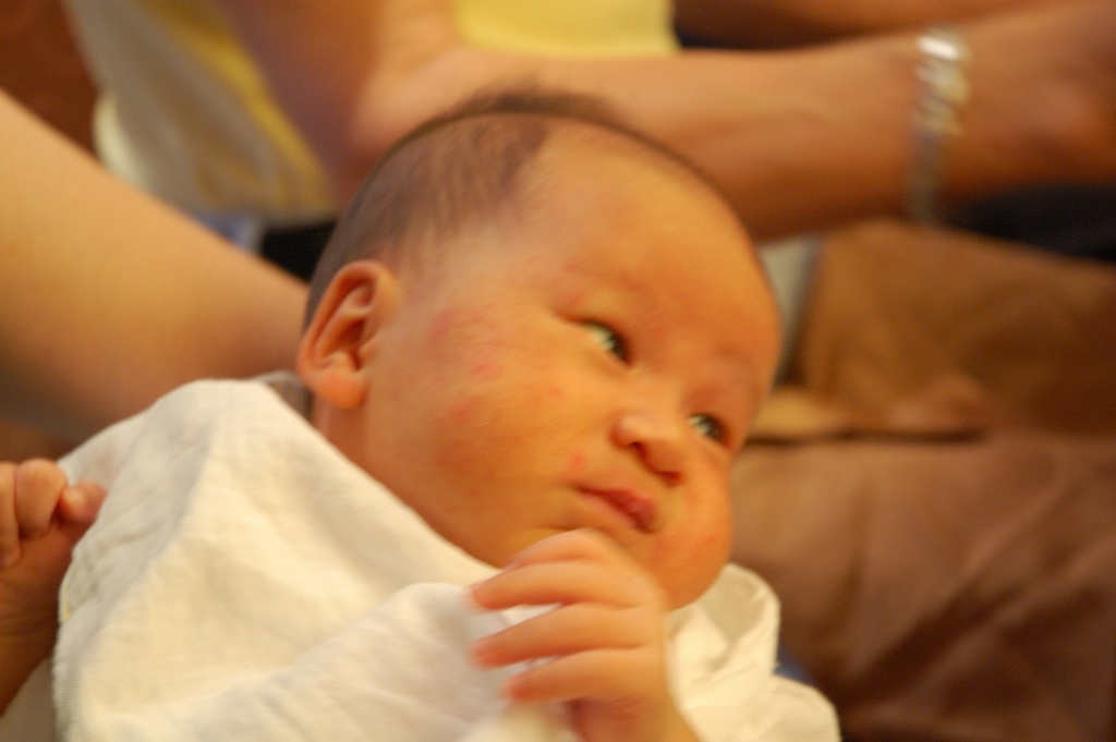 DSC_7724e.jpg[BiܤU@]