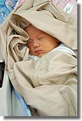DSC_7771e.jpg