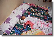 DSC_7884e.jpg