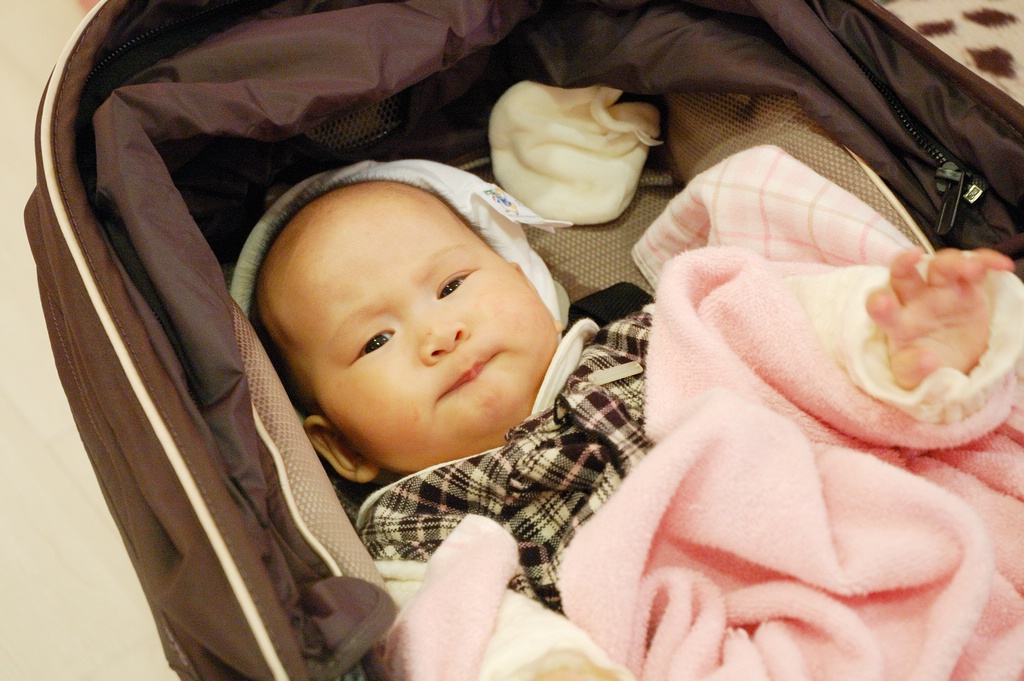 DSC_8651e.jpg[BiܤU@]