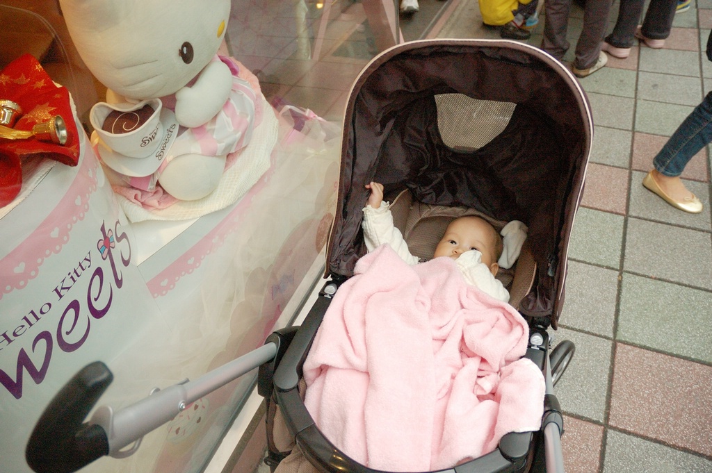 DSC_8655e.jpg[BiܤU@]