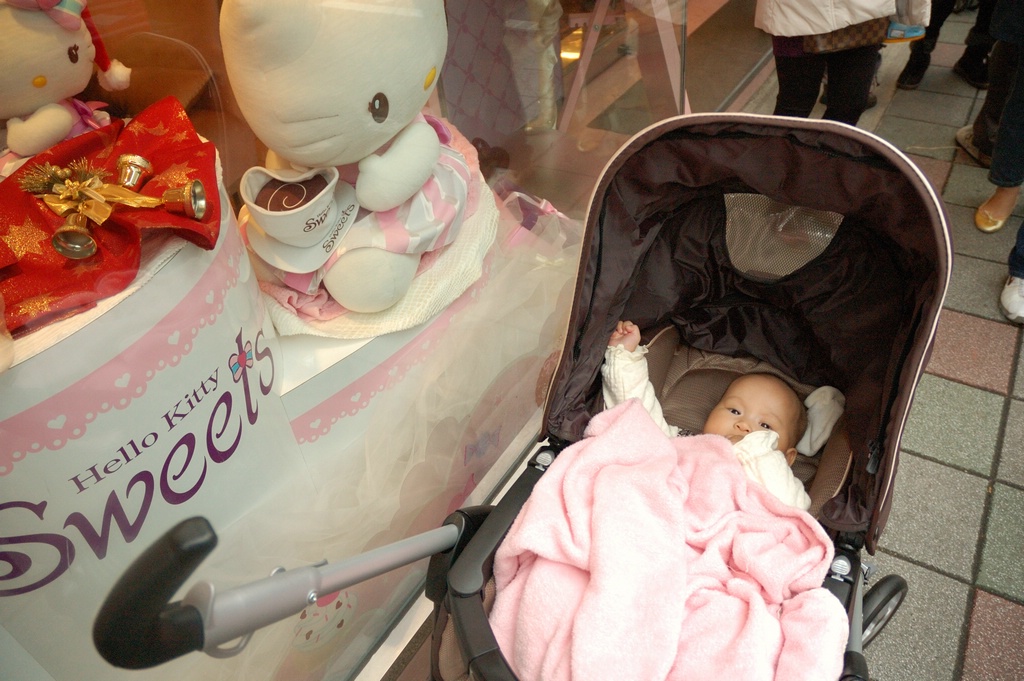 DSC_8656e.jpg[BiܤU@]