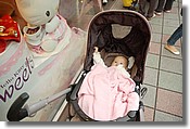DSC_8655e.jpg