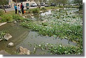 DSC_1723e.jpg