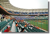 DSC_1732e.jpg