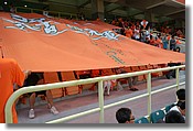 DSC_1757e.jpg