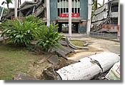 DSC_1854e.jpg