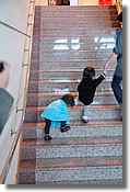 DSC_2706e.jpg