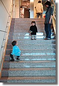 DSC_2708e.jpg