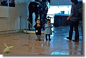 DSC_2740ef.jpg
