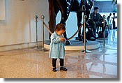 DSC_2741e.jpg