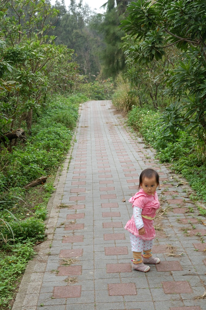 DSC_2873e.jpg[按此處可切至下一頁]